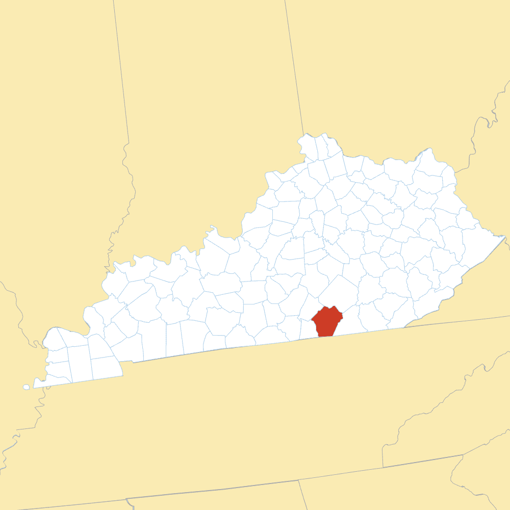 wayne county map